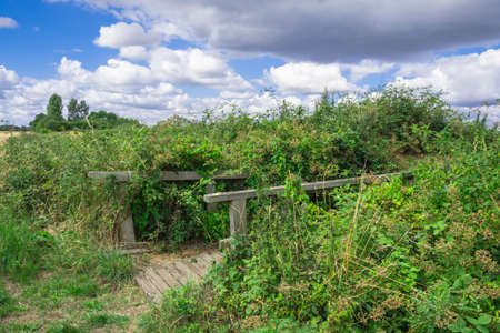 Wooden footbridge on nature trail in countrysideの写真素材