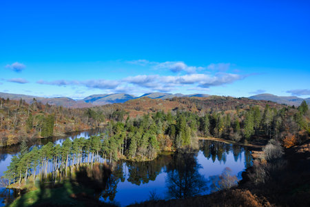 Tarn Hows Coniston English Lake District Cumbria, clear autumn, blue sky mirrored water with reflectionsの写真素材