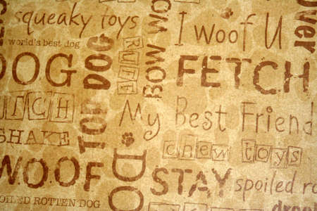 Design of different for a dogの写真素材