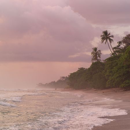 Malpais in Costa Rica,Coast of Costa Ricaの写真素材