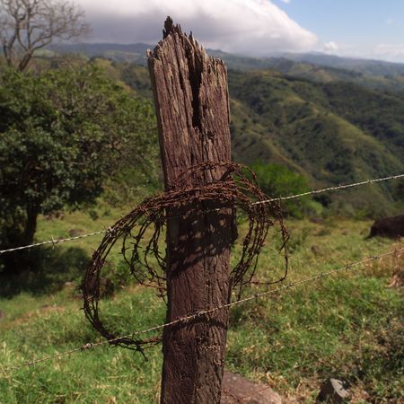 Monte Verde Costa Rica,Barb wire fenceの写真素材
