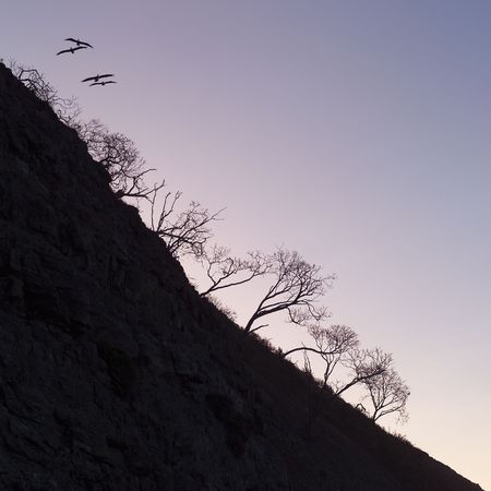 Costa Rica,Trees on a hillside in Costa Ricanの写真素材