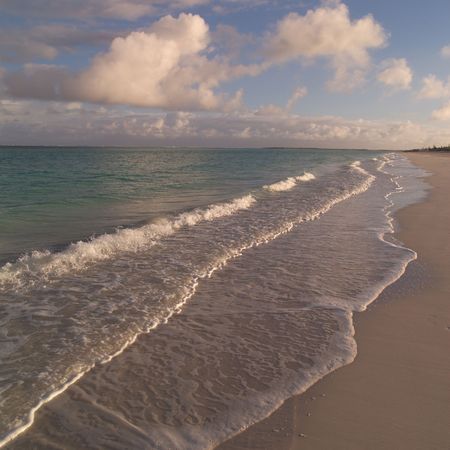 Parrot Cay,Parrot cay beachの写真素材