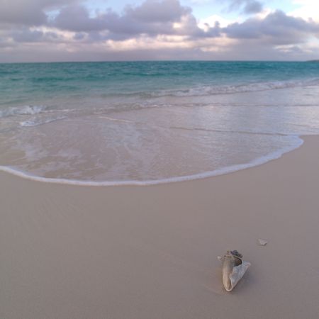 Parrot Cay,Beach at Parrot Cay