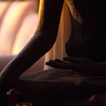 Parrot Cay,Stone Sculptureの写真素材