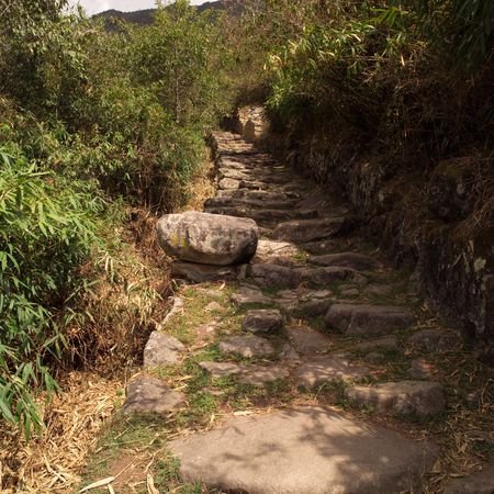 Peru - Machu Picchu, Stone pathway on hillside in Machu Picchuの写真素材