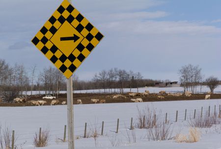 Northern Alberta, Road sign in Northern Albertaの写真素材