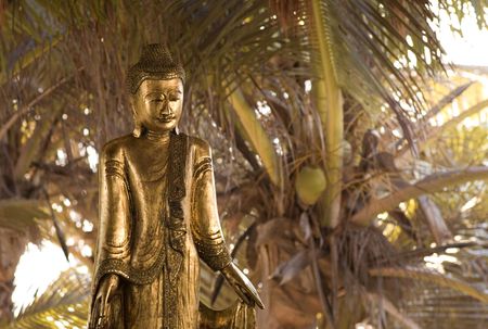 Tulum Mexico, Buddha statue in Tulum Mexicoの写真素材