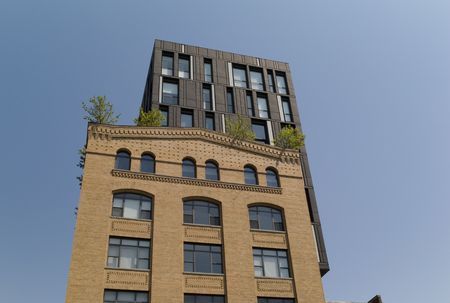 New York City, Trees on rooftop of building in New York City