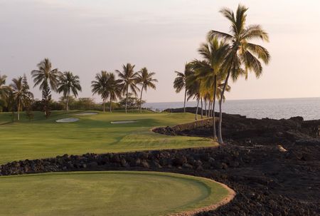 Palm trees, rocks, and oceanの写真素材