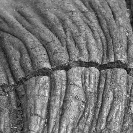 A lump of solid lava in Hawaii Volcanoes National Park.