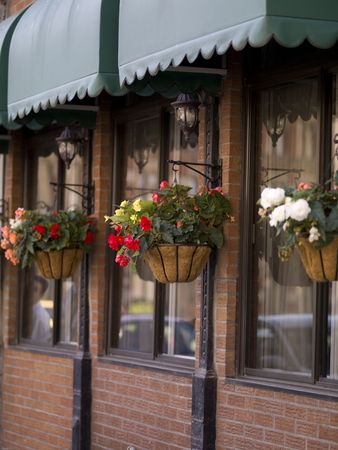 Hanging flower baskets in front of a store in Montrealの写真素材