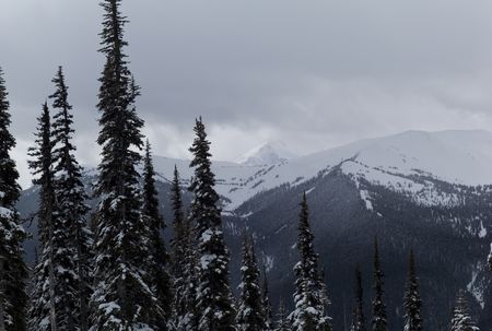 Mountains and treesの写真素材