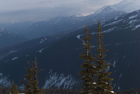 Mountains and treesの写真素材