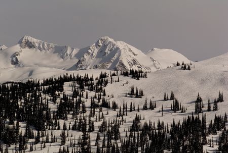 Mountains and treesの写真素材