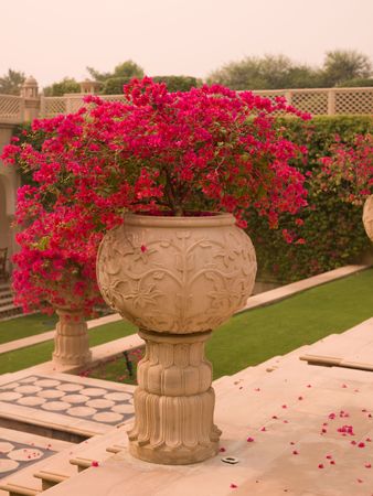 Urn of flowers in Agra, Indiaの写真素材