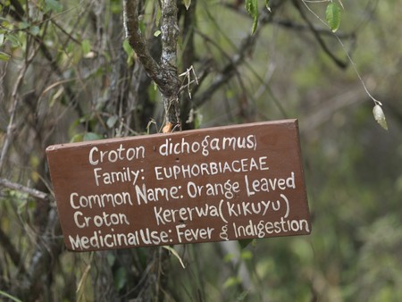 Sign identifying vegetation in Kenya Africaの写真素材