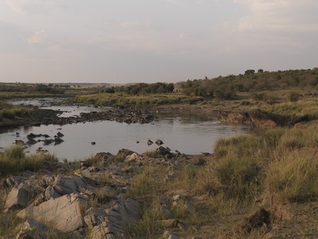Pond in Kenya Africaの写真素材