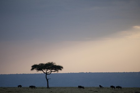 Kenya landscapeの写真素材