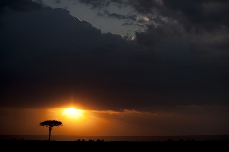 Kenya landscape at sunsetの写真素材