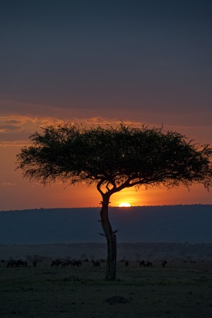 Kenya sky at sunset
