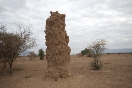 Termite hill in Kenyaの写真素材