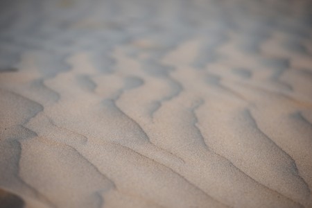 Beach at Manda Bay Resortの写真素材