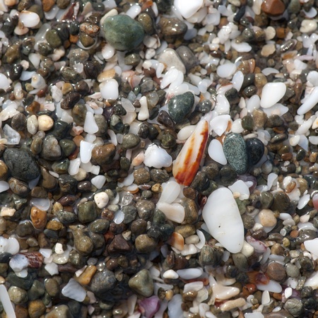 Stones along the seashore in Costa Rica