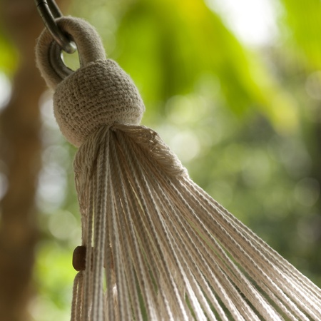 End cords of a hanging hammock in Costa Ricaの写真素材