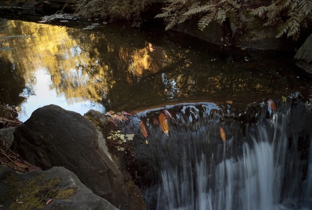 Waterfall in Stanley Park in Vancouver, British Columbia, Canadaの写真素材