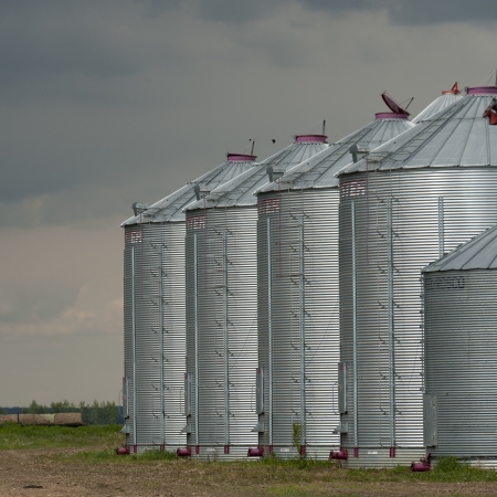 Metal silos in a field, Northern Alberta, Alberta, Canadaのeditorial素材