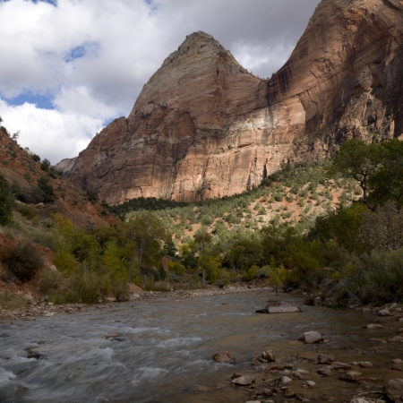 Stream flowing through a forest, Zion National Park, Utah, USAの写真素材