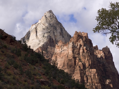 Low angle view a mountain, Zion National Park, Utah, USAの写真素材