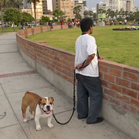 Man with his dog in a park, Av De La Aviacion, Miraflores District, Lima Province, Peruのeditorial素材