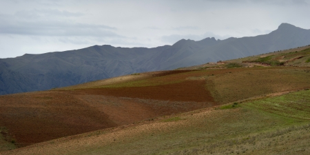 Agricultural field in Sacred Valley, Cusco Region, Peruの写真素材
