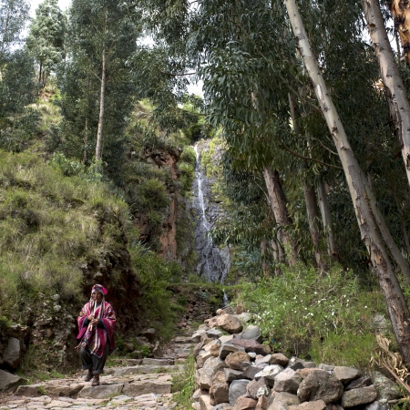 Woman walking on a stone walkway passing through a forest, Pisac, Sacred Valley, Cusco Region, Peruのeditorial素材