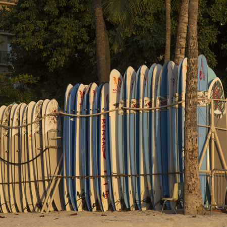Surfboards lined up on the beach, Waikiki, Honolulu, Oahu, Hawaii, USAのeditorial素材
