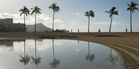 Reflection of palm trees in the Duke Paoa Kahanamoku Lagoon, Waikiki, Honolulu, Oahu, Hawaii, USAの写真素材