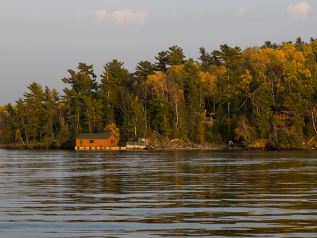 Trees in a forest at the lakeside, Kenora, Lake of The Woods, Ontario, Canadaのeditorial素材