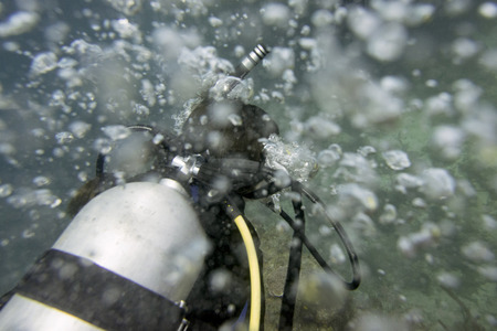 Scuba diver underwater, Utila, Bay Islands, Hondurasの写真素材