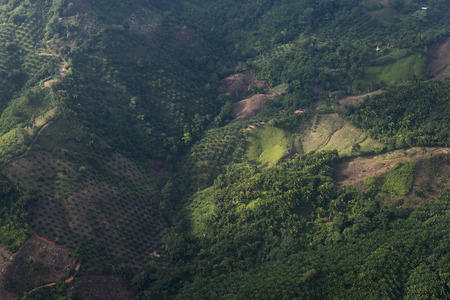 High angle view of a valley, Bay Islands, Hondurasの写真素材