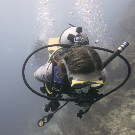 Scuba diver underwater, Utila, Bay Islands, Hondurasのeditorial素材