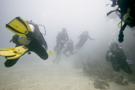 Scuba divers underwater, Utila, Bay Islands, Honduras