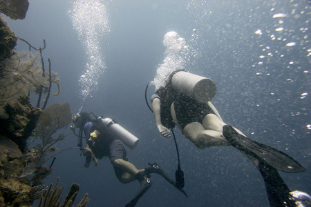 Scuba divers underwater, Utila, Bay Islands, Hondurasのeditorial素材