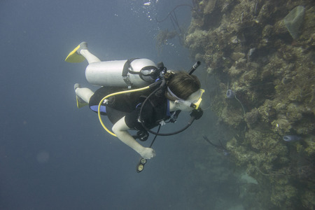 Scuba diver underwater, Utila, Bay Islands, Hondurasのeditorial素材