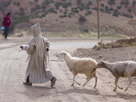 Shepherd with sheep crossing a dirt road, Atlas Mountains, Moroccoの写真素材