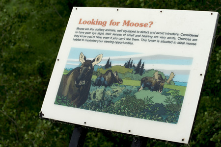 Closeup of a sign board with information about moose, Hecla Grindstone Provincial Park, Manitoba, Canadaの写真素材