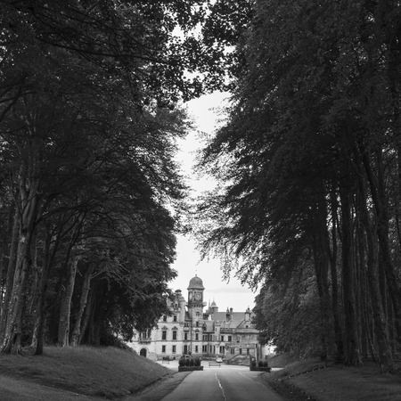 Trees along road leading toward the Dunrobin Castle, Golspie, Sutherland, Scottish Highlands, Scotlandのeditorial素材