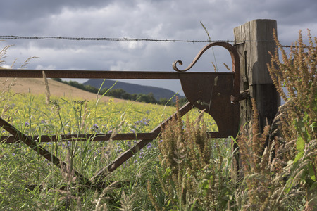 Metal fence on grassy field, Portsoy, Moray Firth Coast, Aberdeenshire, Scotlandの写真素材