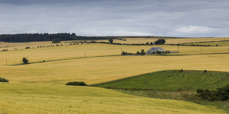 View of agricultural landscape against cloudy sky, Scotlandの写真素材